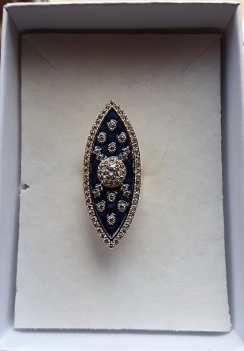 21744373_1036463809829804_526361199_n