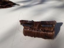 92042464_720542448775044_1173203358085808128_n